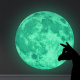 Glow in the Dark Moon Sticker