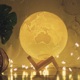 Peaceful Earth Lamp