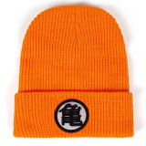 Dragon Warrior Training Beanie