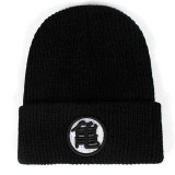Dragon Warrior Training Beanie