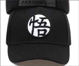 Dragon Warrior Training Snapback Hat/Cap
