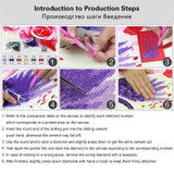 Special AB Drill DIY Diamond Painting Kit - Golden Hair Princess