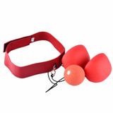 Boxing Speed Ball
