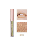 Lip Gloss Lipstick