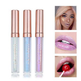Lip Gloss Lipstick