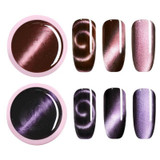 Nail Polish Colors