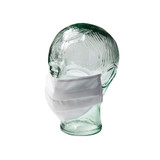 Kananaskis landscape painting- Face Mask Covers