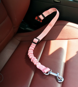 Dog Leash with connection to Seat Belt in Vehicle