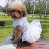 Princess Dress with Sequin Patterned Bodice