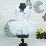 Princess Dress with Sequin Patterned Bodice