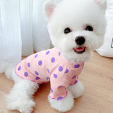 Candy Spot Cotton Tshirt