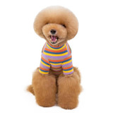 Candy Stripe Classic Tshirt