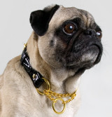 Devin Martingale Dog Collar