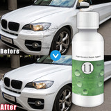 Car Scratch Repair Agent