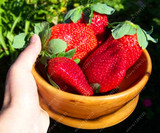 300 Rare Giant Strawberry Fruit Plant Seeds Organic Non-GMO Edible Home Garden