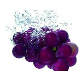 PURE Grapeseed Oil 1 oz Organic Cold Pressed Carrier Oil Hair & Skin DIY