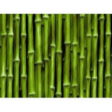 Bamboo Extract 100% Pure Ing Silica 8 oz Hair Care Treatment for Damaged Colored
