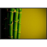 Bamboo Extract 100% Pure Ing Silica 4 oz Hair Care Treatment for Damaged Colored