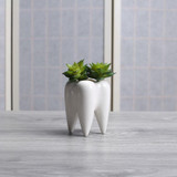 Tooth Ceramic Flower Pot