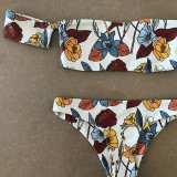 Strapless Swimsuit Bikini