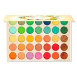 Alice+Jane 35 Color High Pigment Eyeshadow Palette by Evanese