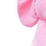 Adorable Peek A Boo Plush Toy