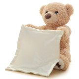 Adorable Peek A Boo Plush Toy