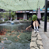 Anime Cosplay Green Fish Head Latex Helmet Halloween Props