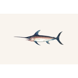 Swordfish Masterwork Canvas