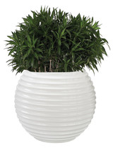 Jaya Bamboo Tuft Planter - Style: 7981956