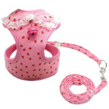 Harness Leash Set for Small Dogs