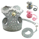 Harness Leash Set for Small Dogs