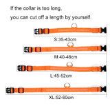 Pet Dog LED Collar for Night Safety