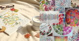 Adult Coloring Books