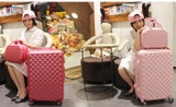 Rolling suitcase women 2pcs/set fashion 20/22/24/28 inch students trolley cosmetic bag case travel spinner password luggage