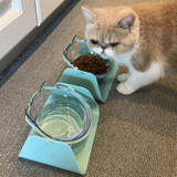 Adjustable Pet Feeder Bowl