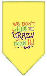 We Don't Hide The Crazy Screen Print Mardi Gras Bandana