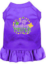 Throw Me Something Screen Print Mardi Gras Dog Dress