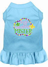 Throw Me Something Screen Print Mardi Gras Dog Dress
