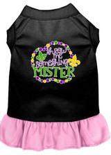 Throw Me Something Screen Print Mardi Gras Dog Dress