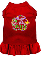 Throw Me Something Screen Print Mardi Gras Dog Dress