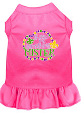 Throw Me Something Screen Print Mardi Gras Dog Dress