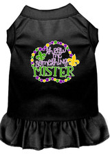 Throw Me Something Screen Print Mardi Gras Dog Dress