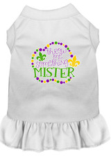 Throw Me Something Screen Print Mardi Gras Dog Dress