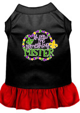 Throw Me Something Screen Print Mardi Gras Dog Dress