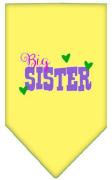 Big Sister Screen Print Bandana