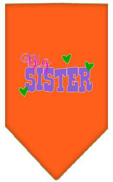Big Sister Screen Print Bandana