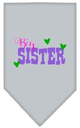 Big Sister Screen Print Bandana
