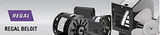 A.O. Smith B2852 3/4 HP, 3450 RPM, 1 Speed, 230/115 Volts, 5.4/10.8 Amps, 1.25 Service Factor, 56Y Frame, PSC, ODP Enclosure Square Flange Pool Motor
