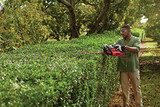 CRAFTSMAN V60 Cordless Hedge Trimmer, 24-Inch (CMCHTS860E1)